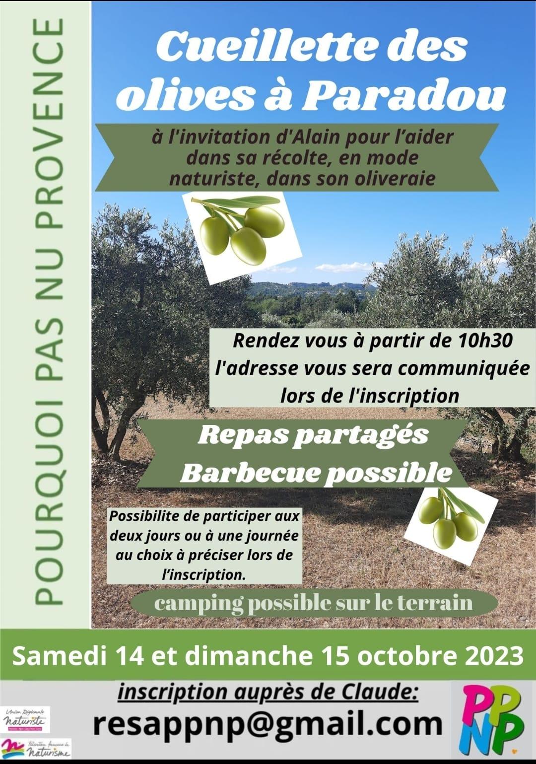 2023 10 14 cueillette des olives